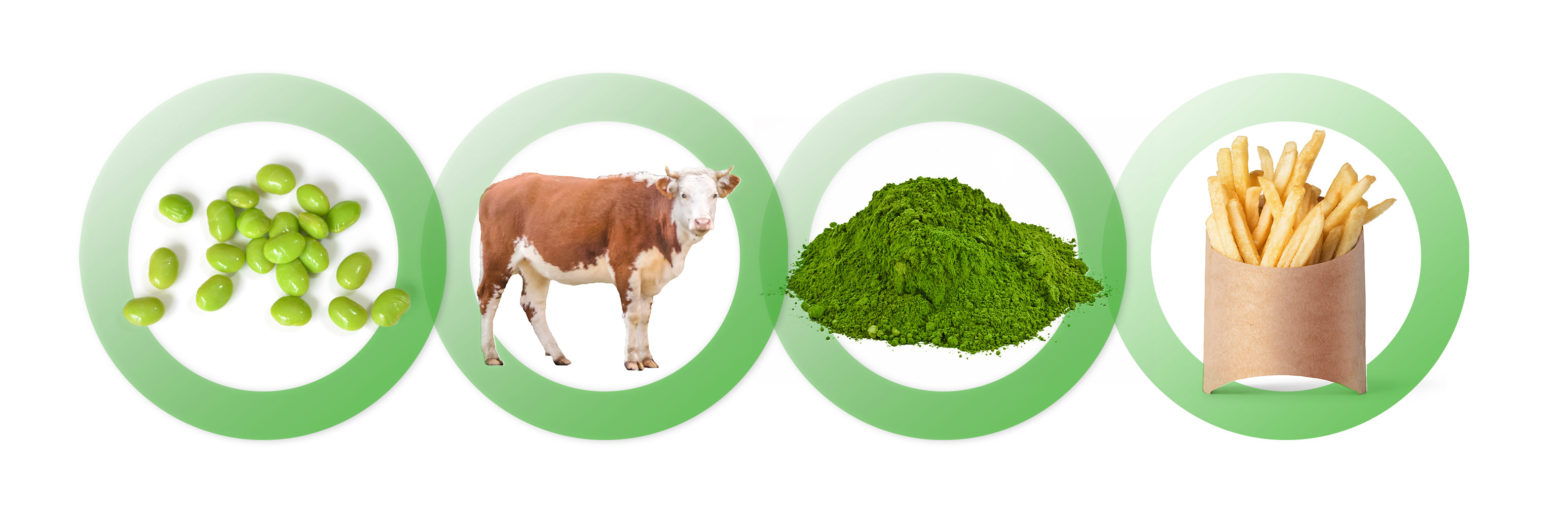 biodeisel sources